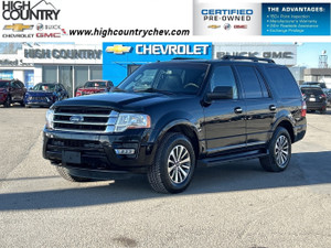 2017 Ford Expedition XLT