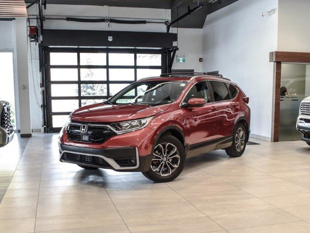 2020 Honda CR-V EX-L in Cars & Trucks in Calgary - Image 2
