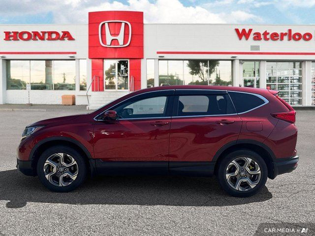 2019 Honda CR-V EX | AWD | SUNROOF | REMOTE START | CARPLAY in Cars & Trucks in Kitchener / Waterloo - Image 4