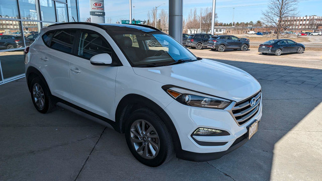 2017 Hyundai Tucson No Accidents! Rear Cam, AWD in Cars & Trucks in Kitchener / Waterloo - Image 3