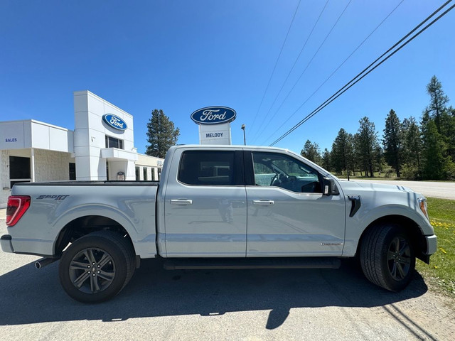  2023 Ford F-150 XLT 4WD SuperCrew 5.5' Box, 145" Wheelbase, 3.5 in Cars & Trucks in Cranbrook - Image 3