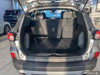 Former Daily Rental: ENGINE: 1.5L ECOBOOST -inc: auto start-stop technology (STD), Wheels: 17 Shadow... (image 9)
