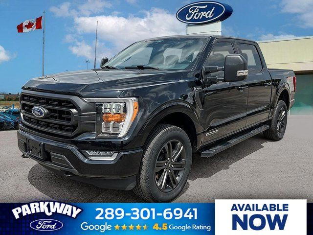 2022 Ford F-150 XLT in Cars & Trucks in Kitchener / Waterloo