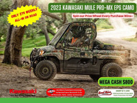 2023 KAWASAKI MULE PRO MX EPS CAMO, Only $79 Weekly, All-in