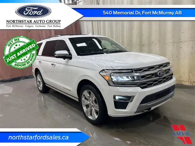 2022 Ford Expedition Platinum - Leather Seats in Cars & Trucks in Fort McMurray - Image 8