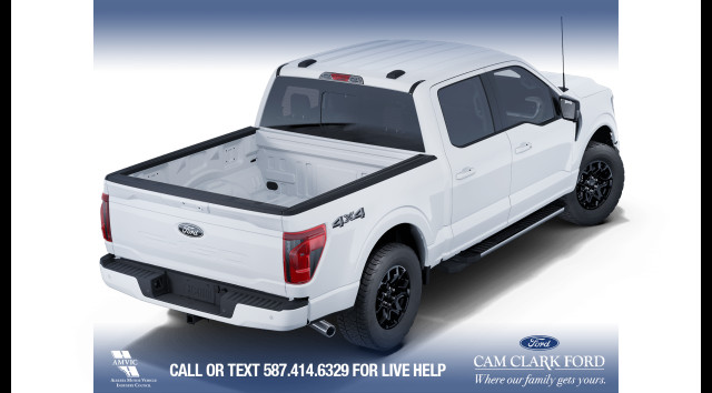 2025 Ford F-150 XLT in Cars & Trucks in Calgary - Image 4