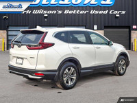 Come see this certified 2020 Honda CR-V LX AWD | Remote Start | Heated Seats | Adaptive Cruise | Rea... (image 4)