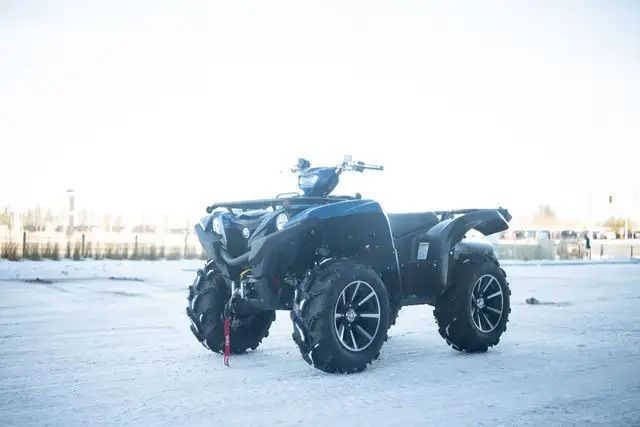 2025 Yamaha GRIZZLY 700 SE in ATVs in Strathcona County - Image 8