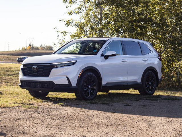 2023 Honda CR-V EX-L in Cars & Trucks in Edmonton - Image 3