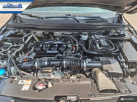Come see this certified 2019 Honda Accord Sedan Sport | 6-Speed Manual | Sunroof | Adaptive Cruise |... (image 8)