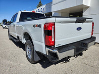 Serving Carstairs, Didsbury, Red Deer, Crossfield, Airdrie, Olds, and Calgary The 2025 Ford F-250 XL... (image 6)