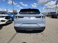 Employee Pricing on now! You pay what we pay on every New and Used Vehicle at Maclin Ford - Calgarys... (image 7)