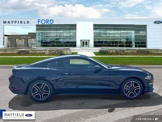 2021 Ford Mustang in Cars & Trucks in Mississauga / Peel Region - Image 3