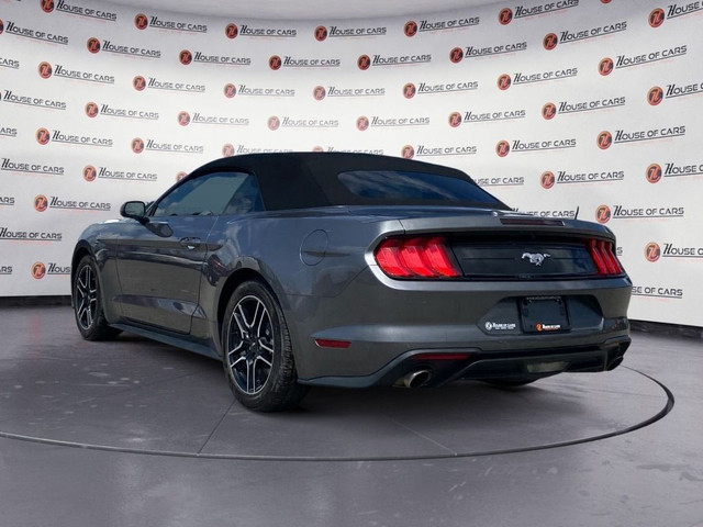 2023 Ford Mustang EcoBoost Convertible in Cars & Trucks in Calgary - Image 4