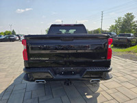 2024 Chevrolet Silverado 1500 LT Trail Boss with the 3.0L Duramax Diesel and only 11,000kms! Clean h... (image 5)