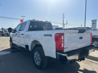 2023 Ford Super Duty F-250 SRW XLT 4WD Crew Cab 6.75' Box, Back-Up Camera, Block Heater, Brake Contr... (image 7)