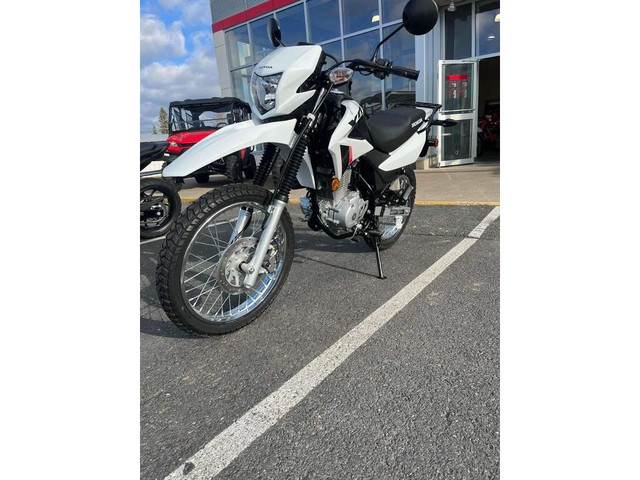 2023 Honda XR150L Disponible!! Available Now!! in Sport Bikes in Bathurst