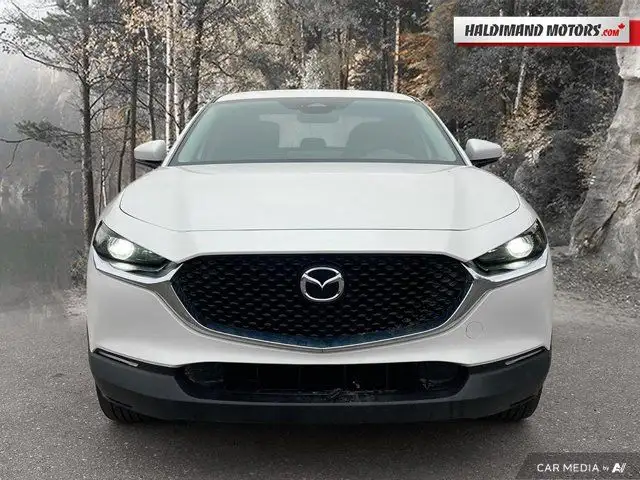2025 Mazda CX-30 GS in Cars & Trucks in Hamilton - Image 9