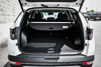 Cooled Seats, Sunroof, Leather Seats, Navigation, Premium Audio! 6 LOCATIONS KINGSTON - (613) 384-56... (image 7)