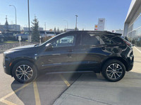 The 2025 Cadillac XT4 Sport featured in Stellar Black Metallic with a Jet Black is the embodiment of... (image 4)