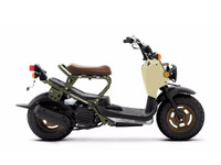 2024 Honda Ruckus