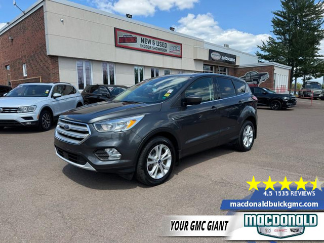 2019 Ford Escape SE 4WD - Heated Seats - Android Auto - $176 B/W in Cars & Trucks in Moncton