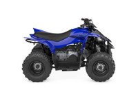  2024 Yamaha Raptor 50