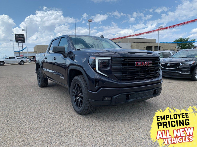 2025 GMC Sierra 1500 in Cars & Trucks in Hamilton