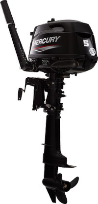 2021 Mercury Marine FourStroke 115 Outboard