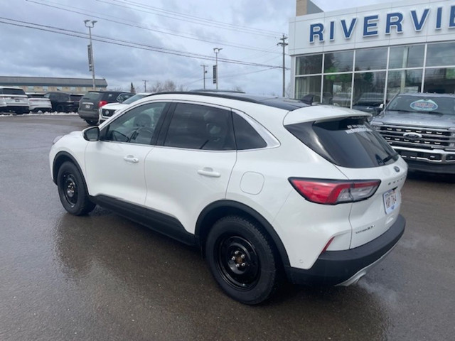  2020 Ford Escape TITANIUM HYBRID in Cars & Trucks in Fredericton - Image 3