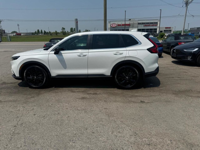 2024 Honda CR-V EX-L, HYBRID, 93KMS, CERTIFIED dans Autos et camions  à London - Image 2