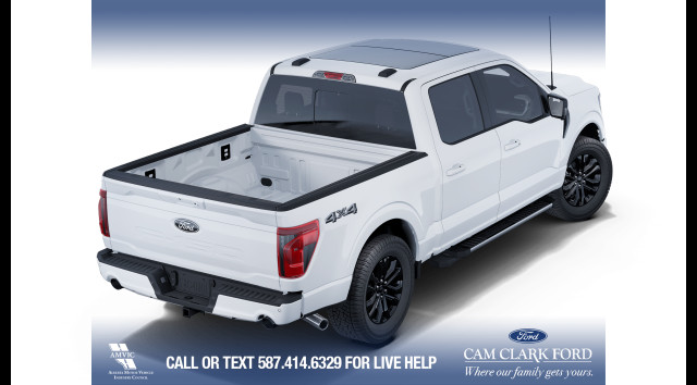 2025 Ford F-150 XLT in Cars & Trucks in Calgary - Image 4