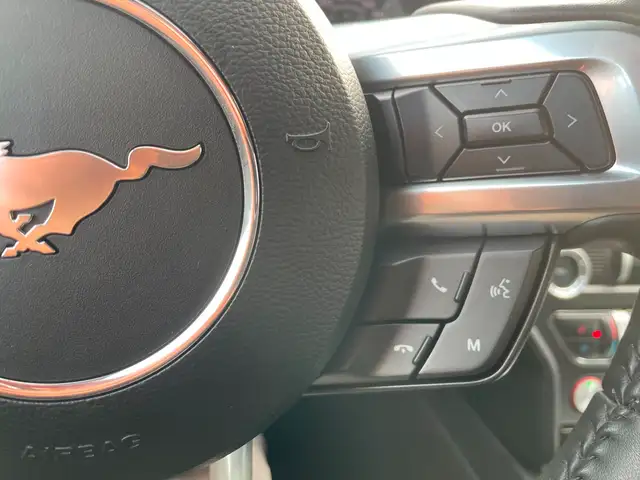 2019 Ford Mustang EcoBoost Premium Heated Seats, Backup Camera in Cars & Trucks in Charlottetown - Image 19