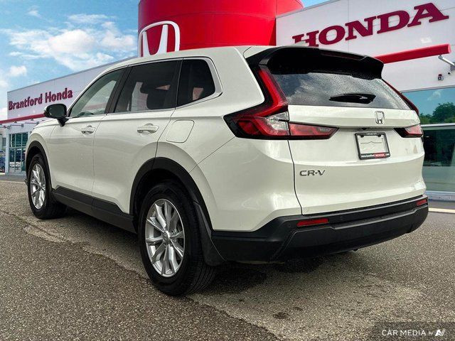 2024 Honda CR-V EX-L in Cars & Trucks in Brantford - Image 4