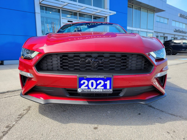 2021 Ford Mustang EcoBoost in Cars & Trucks in Markham / York Region - Image 3