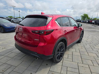 2022 Mazda CX-5 Kuro Edition AWD with the 2.5L Turbo engine and just 54,000kms! Sporty and refined l... (image 4)