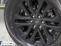 The Humberview Group: 5000 Vehicles. 20 Stores. 18 Brands. 1 Promise: Serving you better each and ev... (image 7)