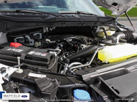 Engine: 3.5L 6cyl. L/100Km City: 11.4 L/100Km Hwy: 10.1 Safety Equipment ABS And Driveline Traction... (image 5)