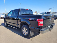 Below market pricing everyday at Heartland Ford! Check out our current inventory before it’s gone! L... (image 5)