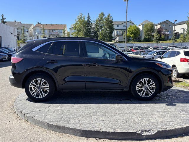 2022 Ford Escape SEL in Cars & Trucks in Calgary - Image 3
