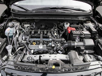 New Nissans Nissans are celebrated for their top-notch construction, offering a fantastic selection... (image 5)