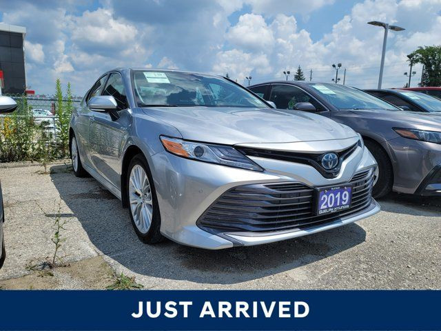 2019 Toyota Camry Hybrid XLE | New Arrival |S in Cars & Trucks in Guelph