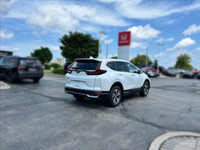 Come visit our Sterling Honda team, you can find us at 1495 Upper James Street, Hamilton, ON L9B 1K2... (image 4)