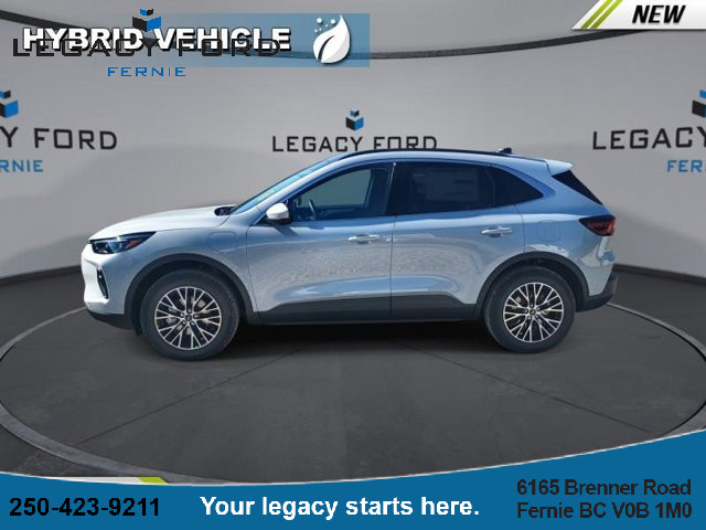 2025 Ford Escape PHEV in Cars & Trucks in Cranbrook