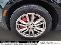 **Strickland's is home of the Hassle-Free car shopping experience. We make car buying fun, find your... (image 7)