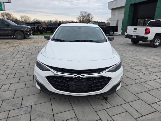 2019 Chevrolet Malibu in Cars & Trucks in Ottawa - Image 2