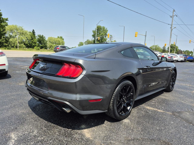 2019 Ford Mustang EcoBoost Premium Fastback in Cars & Trucks in London - Image 3