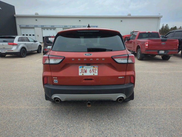 2020 Ford Escape SE in Cars & Trucks in Miramichi - Image 4