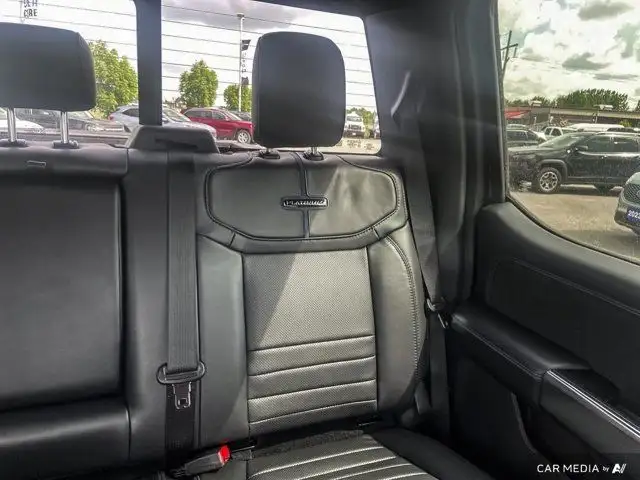 2025 Ford Super Duty F-250 SRW Platinum dans Autos et camions dans Brandon - Image 15