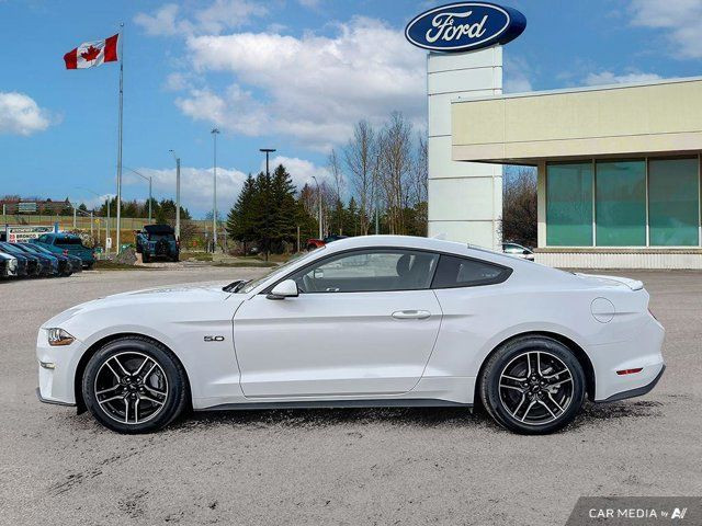 2021 Ford Mustang GT in Cars & Trucks in Kitchener / Waterloo - Image 4